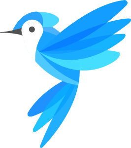 Website design services laval